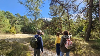 Balade immersive sur mesure dans le Massif des Trois Forêts, pour 1 ou 2 personnes. - Chantilly Senlis Fun