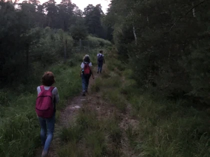 Marche en forêt du coucher de soleil aux premières étoiles - Chantilly Senlis Fun