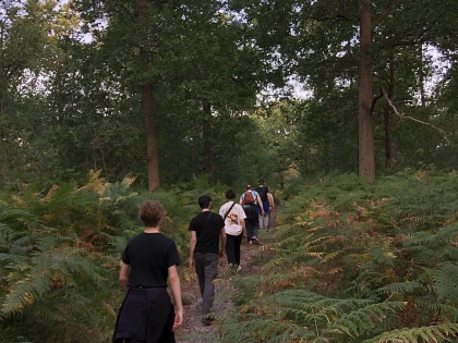Marche en forêt du coucher de soleil aux premières étoiles - Chantilly Senlis Fun