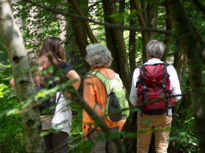 Micro-aventure, demi-journée de découverte de la forêt - Chantilly Senlis Fun