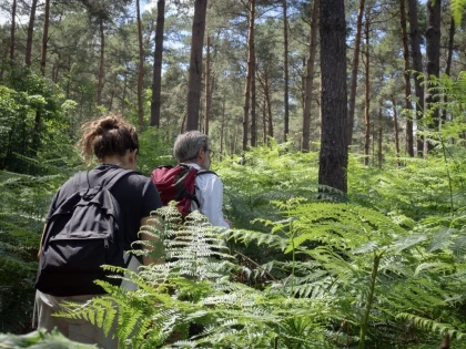 Micro-aventure, journée de découverte de la forêt - Chantilly Senlis Fun