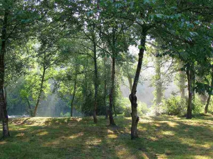 Randonnée historique en forêt de Chantilly - Chantilly Senlis Fun