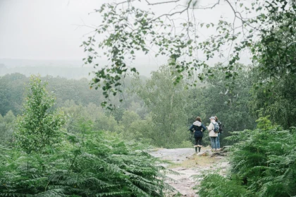 Balade immersive sur mesure dans le Massif des Trois Forêts, pour 1 ou 2 personnes. - Chantilly Senlis Fun