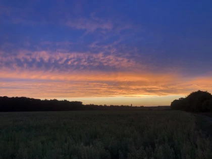 Marche en forêt du coucher de soleil aux premières étoiles - Chantilly Senlis Fun
