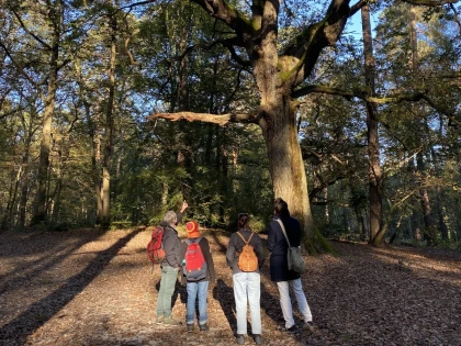 Micro-aventure, journée de découverte de la forêt - Chantilly Senlis Fun